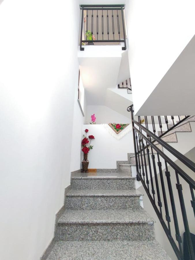 מויסי Vila Casa Hatere מראה חיצוני תמונה